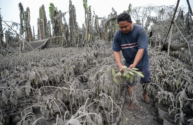 Volcano-eruption-won’t-hit-Philippines-GDP,-says-Economist