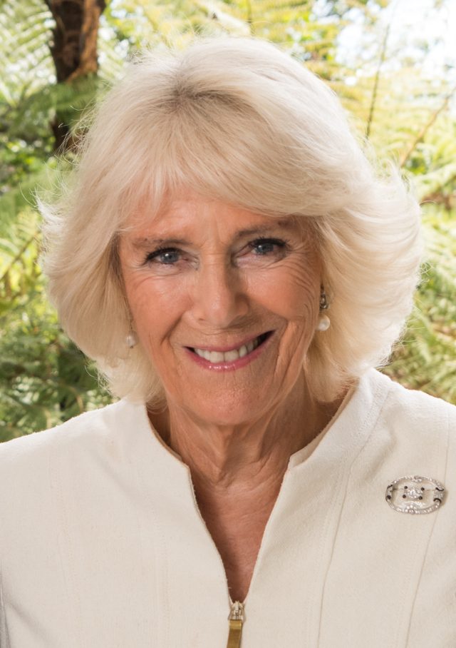 Queen Camilla Camilla, Duchess of Cornwall, stands in a formal gown at a royal event, representing the British monarchy.