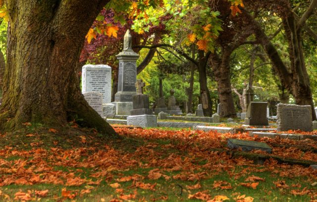 Cemetery Cemetery