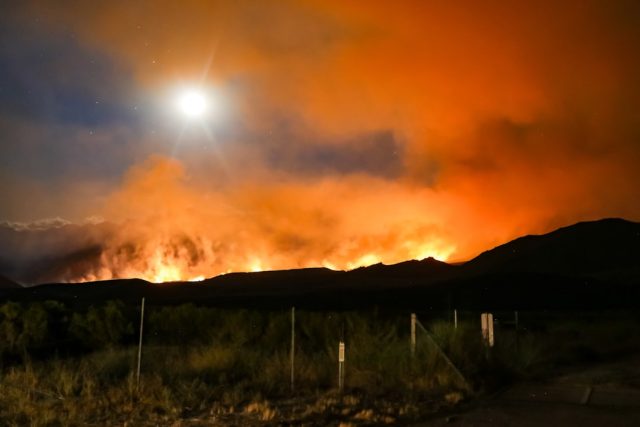 Three Firefighters Injured as Madeira Wildfire Exceeds 5,700 Hectares Firefighters battle flames on a steep forested hillside on Madeira island, with smoke billowing over the landscape.