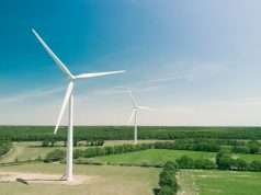 EU Wood Biomass Powers 42.5% Renewable Energy Target A dense European forest with logs stacked near a biomass power plant, illustrating wood as the primary renewable energy source.