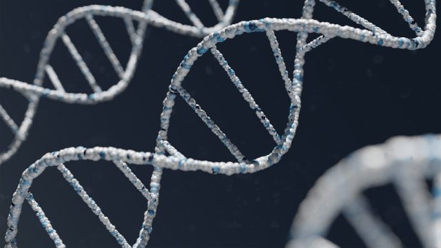 New UN Fund Channels Genetic Data Profits to Source Communities Delegates at a UN conference room in Rome during the resumed session of the Convention on Biological Diversity, discussing the Cali Fund launch.