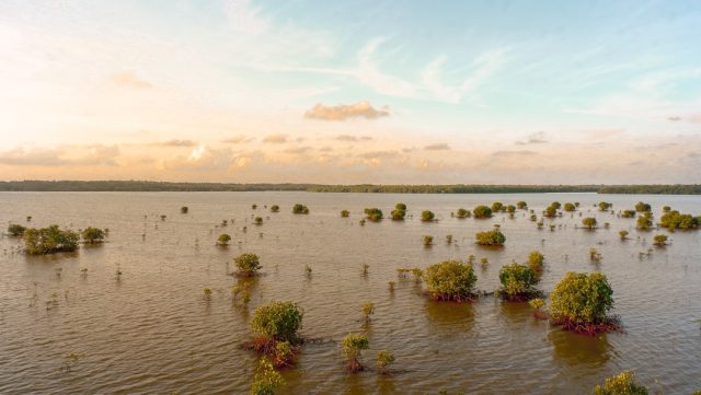 Cyclone Fengal's Origins Traced to November 14 Disturbance Off Sumatra Floodwaters submerge a coastal village in Southern India after Cyclone Fengal made landfall.