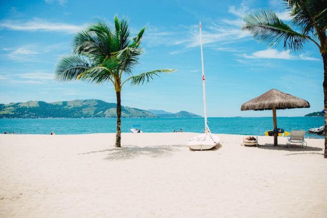 Bull Shark Attack in Crowdy Bay National Park Kills Swiss Tourist, Injures Another A bull shark swims through clear shallow water near a sandy beach with tourists visible onshore.