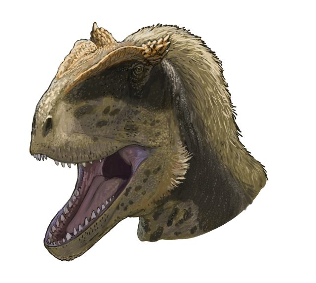 Scientists Discover New Dinosaur Species in Central Asia Region Paleontologists excavating a partial dinosaur skeleton at the Balabansai Formation in Kyrgyzstan