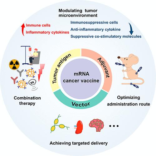 Mrna Cancer Vaccine Brain Tumor Mrna Cancer Vaccine Brain Tumor