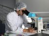 Researchers Identify NFIL3 Protein as Key to CAR T-Cell Exhaustion in Tumors Researchers Identify NFIL3 Protein as Key to CAR T-Cell Exhaustion in Tumors