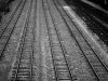 Seven Suspected Immigrants Die in Texas Train Boxcar A sealed train boxcar sits on tracks in a Texas rail yard, surrounded by emergency vehicles and investigators.