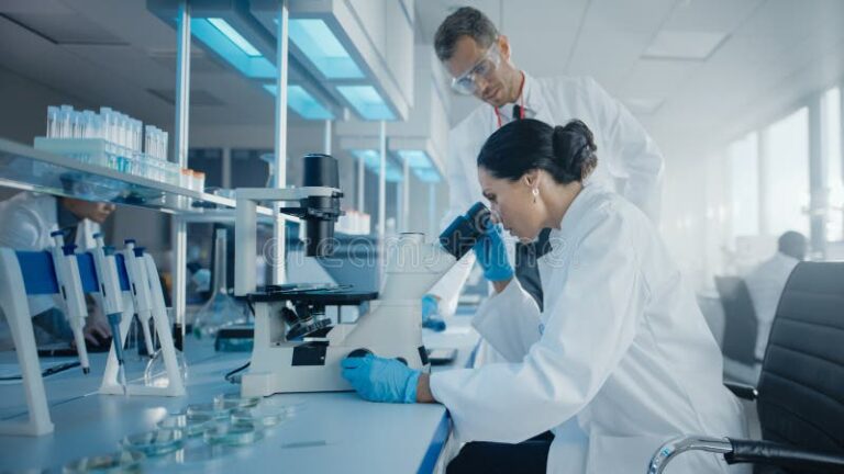 Aging Brain Adapts Rather Than Declines, Research Suggests