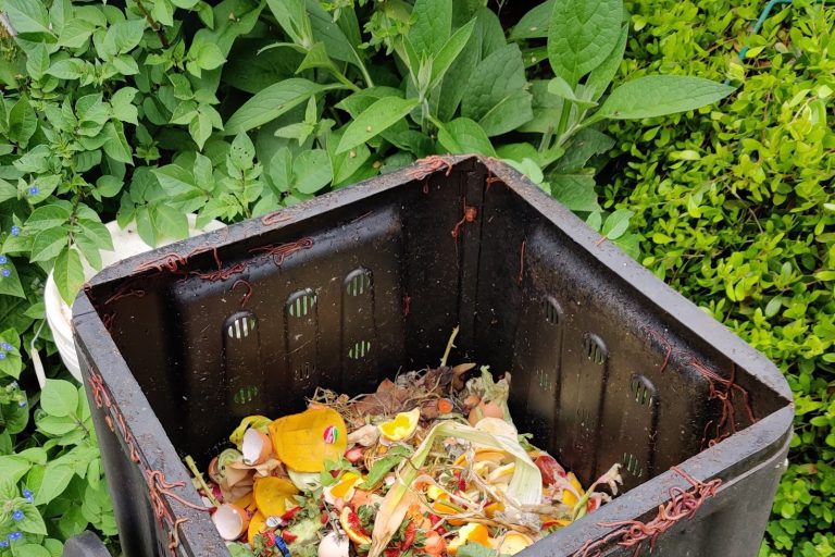 Expert Guide: Build Affordable, Energy-Efficient Home Composting Systems to Cut Year-Round Food Waste