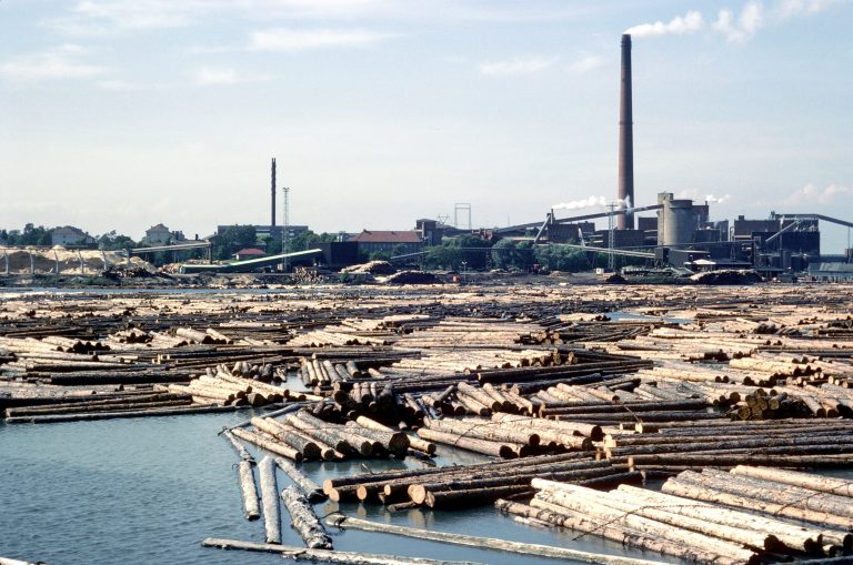Timberland REITs Poised to Gain from Rising Home Construction Demand