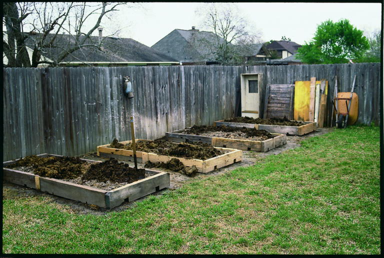 Build a Year-Round Raised Garden Bed: Expert Step-by-Step Guide, Cost Analysis, and Soil Health Tips