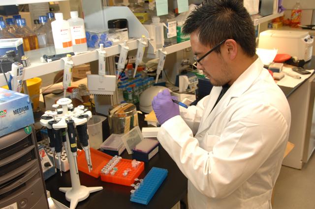 British universities face brain drain as young scientists move abroad for funding