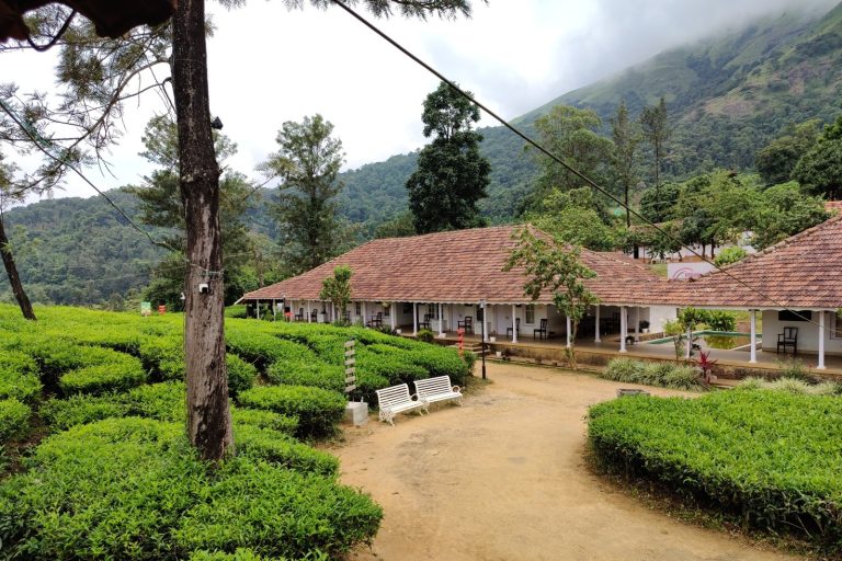 Festive Travel Bookings in India Rise 50% Ahead of Last Year, Zostel Reports